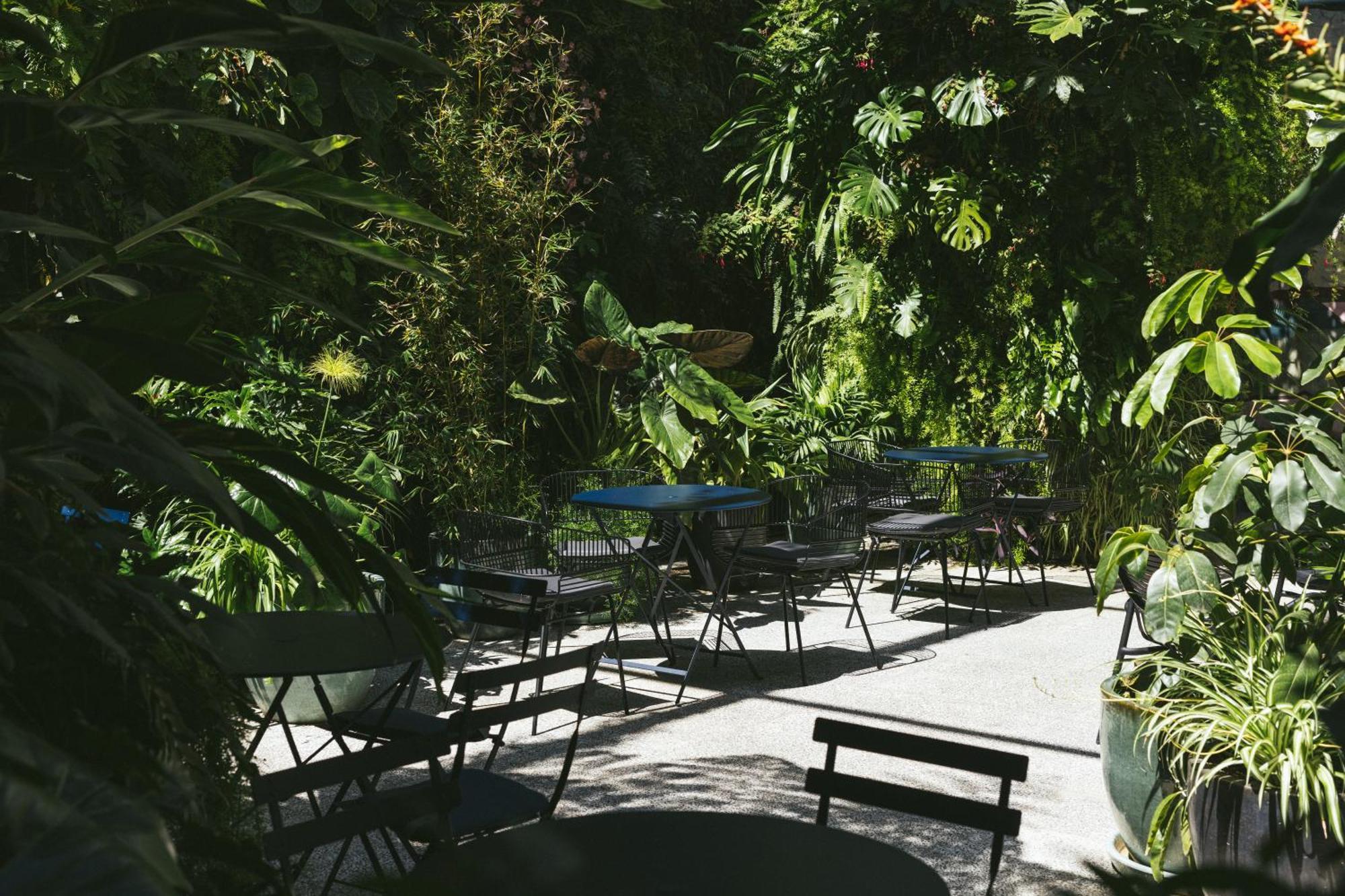- Member Of Design Hotel
